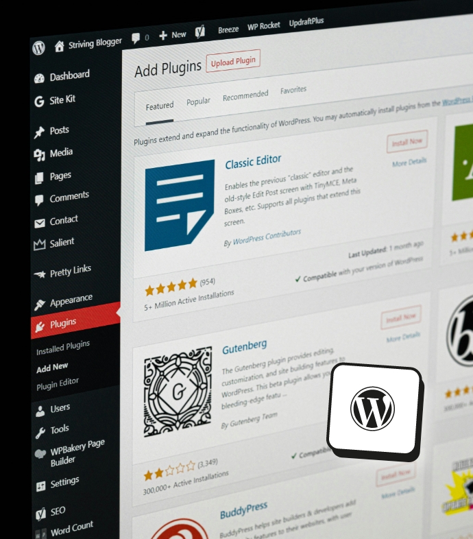 Choix des plug-in dans la création de site web